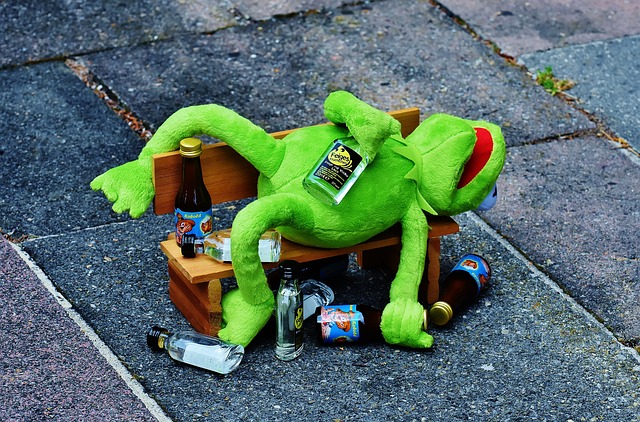 kermit the frog lies on a park bench drunk on spirits